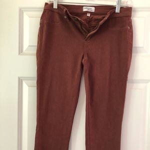 Lakeview Denim StitchFix Pants